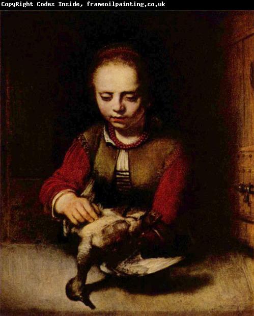 FABRITIUS, Carel Young Girl Plucking a Duck